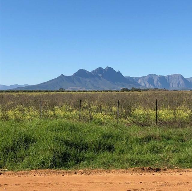 The Vineyard East Durbanville Exterior foto
